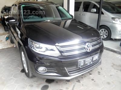 2014 Volkswagen Tiguan, Nego