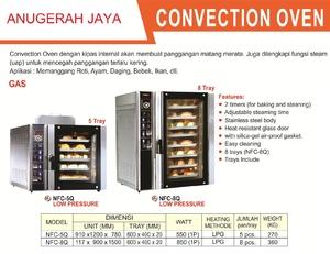 CONVECTION OVEN GAS