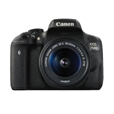 Canon EOS 750D Kit EF-S 18-55mm f/3.5-5.6 IS STM WiFi