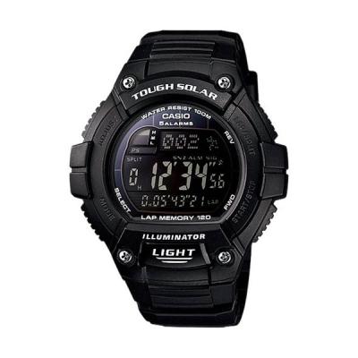 Casio W-S220-1B (tough solar)