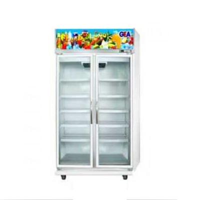 GEA Display Cooler /showcase 2 D EXPO-800AH/CN - White