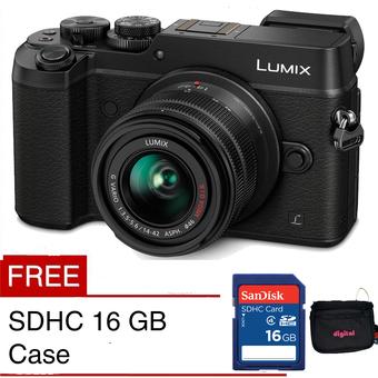 Panasonic Lumix G GX8 KIT 14-42mm 20.3 Megapixels - Hitam + Gratis 16 GB + Case  