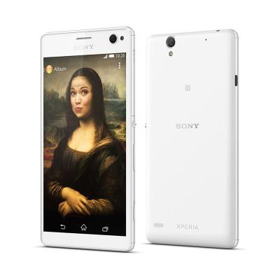 Sony Xperia C4 Dual LTE E5333 Smartphone - White
