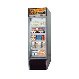 Up Right Freezer Tipe EXPO-500AL/CN